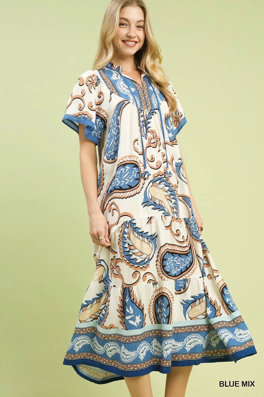 Blue Mix Paisley Print Midi Dress