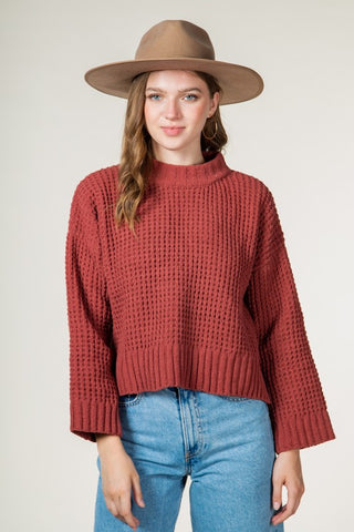 Brick Chunky Turtleneck Crop Sweater